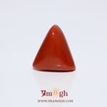 Red Coral - 11.7 Carat