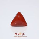 Red Coral - 9.65 Carat