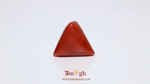 Red Coral - 14.15 Carat