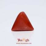 Red Coral - 14.15 Carat
