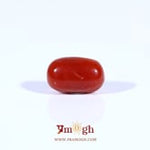 Red Coral - 2.67 Carat