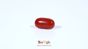 Red Coral - 2.28 Carat