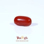 Red Coral - 2.28 Carat