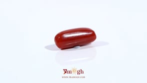 Red Coral - 3.9 Carat