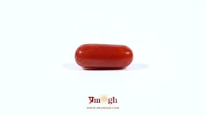 Red Coral - 3.6 Carat