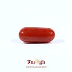Red Coral - 3.6 Carat