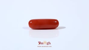 Red Coral - 3.9 Carat