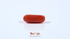 Red Coral - 3.95 Carat