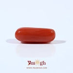 Red Coral - 3.95 Carat