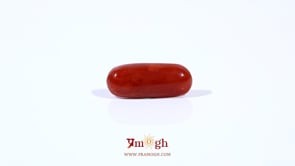 Red Coral - 2.65 Carat