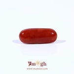 Red Coral - 2.65 Carat