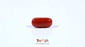 Red Coral - 3 Carat