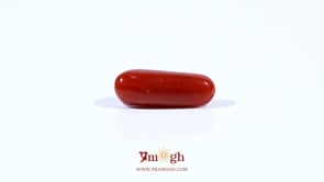 Red Coral - 3.29 Carat