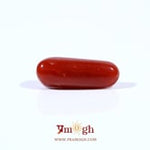 Red Coral - 3.29 Carat
