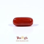 Red Coral - 2.88 Carat