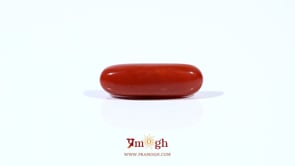 Red Coral - 3.7 Carat