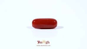 Red Coral - 3.45 Carat