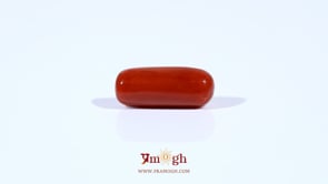 Red Coral - 3.7 Carat