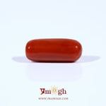 Red Coral - 3.7 Carat
