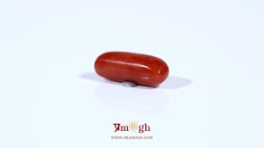 Red Coral - 3.74 Carat