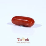 Red Coral - 3.74 Carat