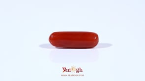 Red Coral - 4.22 Carat
