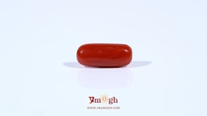 Red Coral - 2.6 Carat