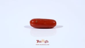 Red Coral - 3.6 Carat
