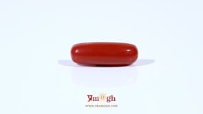Red Coral - 4.2 Carat
