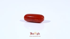 Red Coral - 3.72 Carat