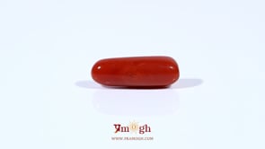 Red Coral - 4.03 Carat