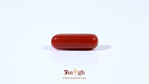 Red Coral - 3.95 Carat