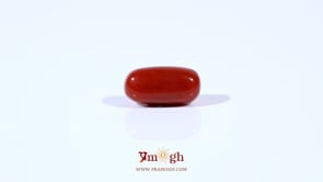 Red Coral - 2.85 Carat