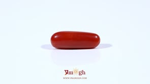 Red Coral - 4.3 Carat