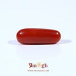 Red Coral - 4.3 Carat