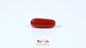 Red Coral - 3.4 Carat