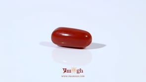 Red Coral - 4.2 Carat