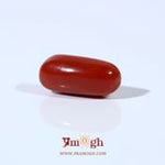 Red Coral - 4.2 Carat