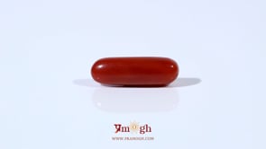 Red Coral - 3.65 Carat
