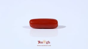 Red Coral - 3.95 Carat