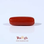 Red Coral - 3.95 Carat