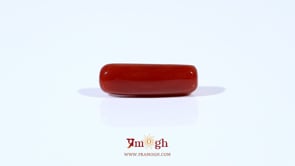 Red Coral - 4.03 Carat