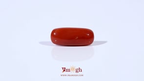 Red Coral - 3.6 Carat
