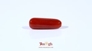 Red Coral - 4.22 Carat