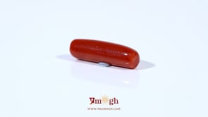 Red Coral - 4.28 Carat