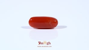 Red Coral - 4.2 Carat
