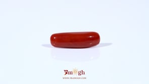 Red Coral - 3.9 Carat