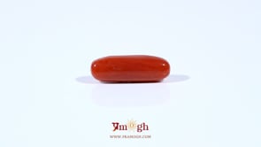 Red Coral - 3.95 Carat
