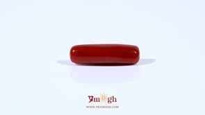 Red Coral - 4.5 Carat
