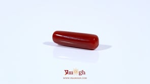 Red Coral - 4.5 Carat